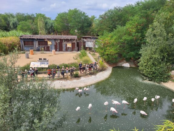 Le Parc des Oiseaux