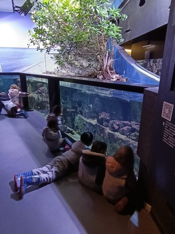 Les 3/6 ans à l&rsquo;Aquarium de Lyon