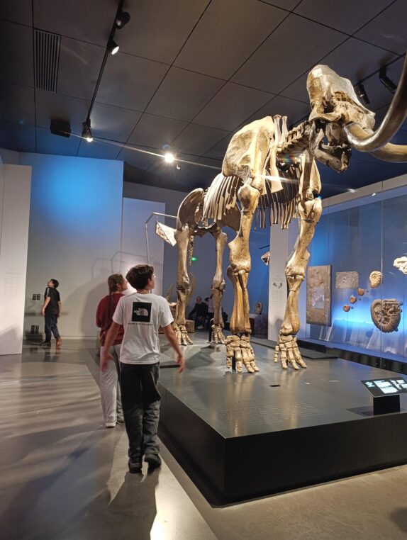 Les 7/14 ans au Musée des Confluences, Lyon